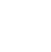 YBL Logo White Icon